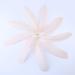 HaiMay 200 Pieces 6-8 Inches White Goose Feathers for Wedding & Party Decor - Buy Online on SooperMarket.com