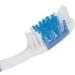 Complete Oral Care Set: Tongue Scraper Toothbrush Dental Silk for Adults & Kids | Effective Mouth Cleaner & Healthy Dental Hygiene - Buy Online on SooperMarket.com