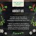 Buy Frontier Co-op Organic Hibiscus Flowers 5.82 oz - Premium Dried Hibiscus Tea - Buy Online on SooperMarket.com