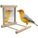 Hanging Bird Mirror Swing Toy - Interactive Play for Small Parrots & Birds - 2PCS - Buy Online on SooperMarket.com