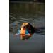 Buy Chuckit! Flying Squirrel M Double Pack - 2x1 Piece | Durable & Lightweight Dog Toys | 35 cm | Water-Resistant | International Shipping Available - Buy Online on SooperMarket.com