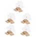 Beavorty 1000 pcs wax papier wax pours Small wax stabbing wax strips for the face grow wax strip set waxed body wax wax suite wood
