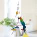 Hypeety Pet Bird Swing Toy - Round Cotton Rope Hanging Hammock for Parakeet, Budgie, Cockatiel - Fun Tri Toy for Cage Enrichment - Buy Online on SooperMarket.com