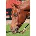 Latigo Leather Split Ear Headstall - Premium Quality for Superior Performance - Buy Online on SooperMarket.com