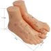 Human TCM Meridian Point Model Acupuncture Female Model Male Model + Hand Model + Foot Model + Ear Model - Buy Online on SooperMarket.com