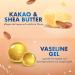Vaseline Lip Therapy Stick Cocoa Butter Variety Pack - 4 Pack 4.8g | Petroleum Jelly Lip Balm - Buy Online on SooperMarket.com