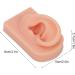 Socobeta Flexible Human Ear Model - Reusable Fake Ear for Acupuncture & Earrings Display (Light Complexion) - Buy Online on SooperMarket.com