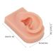 Soft & Flexible Reusable Human Ear Model - Simulated Right Ear for Acupuncture Training - Buy Online on SooperMarket.com