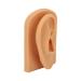 Silicone Right Acupuncture Ear Model - Waterproof Hearing Aid Display Accessory for Science Education - Buy Online on SooperMarket.com