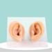 Ear Model A Pair - Professional Simulated Ear Template Imitation Soft Soft Silicone Soft Ear Display Products Actual Ear Mold Sample