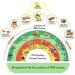 Dawn Lee Superfood Mix Ragi Breakfast - Ragi Almond & Nut Mix175 Gram - Healthy Mixture - Raw Super Seeds - Wholesome Snack - Healthy Snacks - Diet Protein - Gluten Free - Natural Dry Fruits - Buy Online on SooperMarket.com