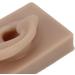 Flexible Brown Right Ear Model for Earrings Display and Acupuncture Training - Buy Online on SooperMarket.com