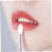 4 Pcs Silicone Lip Brushes - Portable Lipstick Applicator Wands & Mini Lip Scrub Brush for Gloss | International Shipping - Buy Online on SooperMarket.com