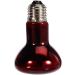 Exo Terra Infrared Basking Spot Lamp 75 W 1 Count (Pack of 1) 75 Watt - Buy Online on SooperMarket.com