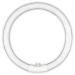 T5 22W Circular Bulb Replacement for Zadro 7-in Surround Light by Technical Precision Replacement Bulb for Lighted Mirror / Makeup Mirror - G10Q-4 4-Pin Base - 6500K Cool Daylight - 12000 Hours