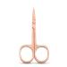 YSJJZRL 2 Pcs Professional Grooming Scissors - Eyebrow Scissors - Small Curved Stainless Steel Manicure & Beauty Scissor (Rose Gold)