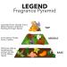 Pete & Pedro LEGEND - Eau De Parfum | Original Male Fragrance - Citrus Spice And Lasting Leather Notes Men's Cologne | As Seen on Shark Tank 1.7 oz d) LEGEND edp - Buy Online on SooperMarket.com