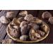 WATSON Premium Mushroom (Dried) | Dried Shiitake Mushroom | Dried Mushrooms | 227g / 8oz | Dried mushrooms for cooking | Vacuum-Locked Nutrients | Mushroom Soup Making | Dried Chinese mushroom | Selected Mushroom | - Buy Online on SooperMarket.com
