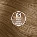 Naturtint 8N Wheat Germ Blonde Hair Color - Pack of 6 | Ammonia Free, Vegan & Cruelty Free | Up to 100% Gray Coverage | Long Lasting Results - Buy Online on SooperMarket.com
