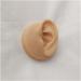 Silicone Ear Model - Human Ear Model Simulation - for Human Body Piercing Acupuncture and Moxibustion Ear Practice Ear Teaching - Buy Online on SooperMarket.com