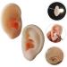 Silicone Ear Models for Ear Picking and Display - 1 Pair - Buy Online on SooperMarket.com