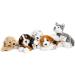 Buy Uni-Toys Husky Puppy Plush Toy - 23 cm Cuddly Grey Dog - International Shipping Available - Buy Online on SooperMarket.com