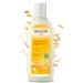 Weleda Oat Replenishing Hair Strengthening Shampoo 6.4 Fl Oz Oat Replenishing Shampoo