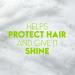 H&S Apple 2in1 Shampoo & Conditioner 400ml - Buy Online at Best Price - Buy Online on SooperMarket.com