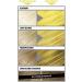 L'Oreal Paris Colorista Washout Yellow Neon Semi-Permanent Hair Dye 80ml - Pack of 1 - Buy Online on SooperMarket.com