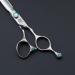 Dream Reach 5.5" Lefty Left Handed Professional Hairdressing Cutting Shears Scissors - Straight Edge Barber Hair Shears Japan 440C - Perfect for Hairstylist Hairdresser and Home Use (Set-03) C-Silver-6.0 - Buy Online on SooperMarket.com