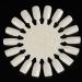 Shop Honey Joy False Nail Flower Wheel - 18 Color Display Board for Stunning Sunflower Nail Art | Pack of 10 - Buy Online on SooperMarket.com