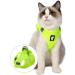 Shop Lianzimau Cat Dishes & Ultra Light Escape Protection Vest for Kittens - Adjustable Soft Network Jacket (1 Pack) in Fruit Green - Buy Online on SooperMarket.com