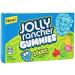 Jolly Ranchers American Candy Selection Gift Box - Includes Gummies Chews Tropical Lollipops & More - Hamper Exclusive to Burmont's - Buy Online on SooperMarket.com