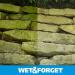 Buy Wet & Forget Moss & Mold Remover - Multi-Surface Outdoor Cleaner Concentrate (64 oz 2 Pack) - Effective Algae Stain Solution | Fast International Shipping - Buy Online on SooperMarket.com