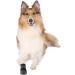 TRIXIE Water-Repellent Dog Shoes | XL Paw Protection Walker Care - 2 Pcs Black - Buy Online on SooperMarket.com