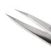 Tweezerman Stainless Steel Point Tweezer - Precision Eyebrow & Ingrown Hair Removal - Classic Silver - Buy Online on SooperMarket.com