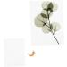 FRCOLOR Dried Flower Blotting Paper Set - Embossed Perforated Specimen Boards for Herbarium, White Flowers Paper - 4pcs 20x15cm - Buy Online on SooperMarket.com