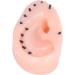 Blackheads Remover Toy TPE Stress Relief Ear Blackheads Remover Toy Reusable Simulation Type Remover Blackhead Ear Shaped Toy - Buy Online on SooperMarket.com