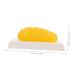 Gatuida Anatomical Fat 4pcs Fat Model Models Human Body Fat Plastic Body Fat Human Fat 1 Pound Demonstration Device Module - Buy Online on SooperMarket.com