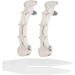 Irregular Hip Hop False Tooth Set - Shiny Silver Dental Accessories for Halloween and Festivals | Unique Mouth Decorations - Buy Online on SooperMarket.com