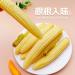 Small Corn bamboo shoots Small young corn 24g/bag hot and Spicy fresh crispy bamboo shoot crunchy tender corn vegetarian grain snack Spicy strips Latiao Chinese snack gift pack (Pickled Pepper 30bag) Pickled Pepper 30bag - Buy Online on SooperMarket.com