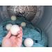 Buy Eco-Friendly Wool Dryer Balls - Natural Fabric Softener for All Laundry - Buy Online on SooperMarket.com