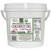 Native Forest 100% Organic Virgin Coconut Oil, 1 Gallon Tub 128 Fl Oz (Pack of 1)