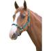 Shires Adjustable Pony/Horse Headcollar - Black Full Navy Full - Buy Online on SooperMarket.com
