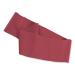 SPRI Flat Band Loop medium