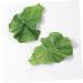PLAFOPE Lettuce Hairpin Aesthetic Hair Clips Hair Clips Hair Accessories for Women Clips for Hair Alligator Hair Clips Hair Clips for Teen Cute Hair Accessories Small Hairpin - Buy Online on SooperMarket.com