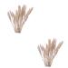 Cabilock Natural Dried Flowers 30 Pcs Natural Artificial Flower Decorative Artificial Flower As Shownx2pcs mediumx2pcs