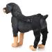 Pet Dog Knee Brace ACL Brace for Dogs Rear Leg Dog Braces for Back Leg for Support for Heals Prevents Injuries Sprains Black Medium Medium Black