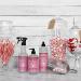 Peppermint Hand Soap 12.5 Fl Oz - Pack of 6 - Buy Online on SooperMarket.com