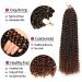 Passion Twist Hair - 7 Packs 18-Inch Water Shaft Bohemian Crochet Extensions (T1B-30#) | YDDM Authentic Hair - Buy Online on SooperMarket.com